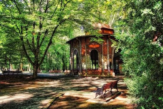 Parcul Dendrologic Bazoș